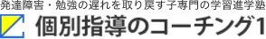 発達障害・勉強の遅れを取り戻す子専門の学習進学塾 個別指導のコーチング1